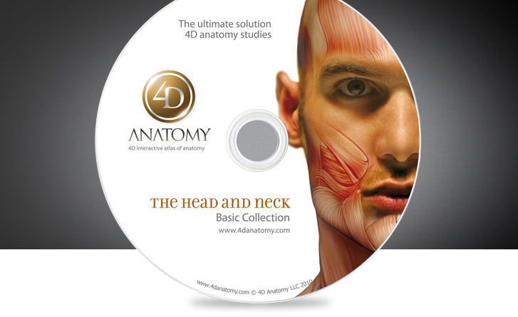 4D Anatomy – Showing the hidden